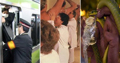weirdest job ever|The 16 Weirdest Jobs Around The World, Ranked.